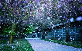 Fondo De Pantalla Con Movimiento Y Efectos Spring Desktop Wallpaper Scenery Wallpaper Beautiful Wallpapers Backgrounds