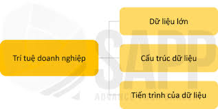 CHAPTER 10 - TRÍ TUỆ DOANH NGHIỆP