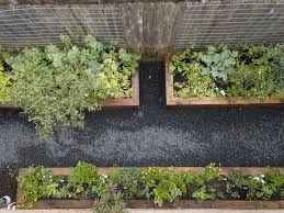 Most sources state that 6 hours are enough, but i prefer to give them 7 or 8. How Much Sun Does A Vegetable Garden Need Gardenary