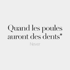 French Words On Instagram Literal Meaning When Chicken Have Teeth French Words French Vocabulary French Words Quotes