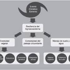 Lo que más me ha impresionado es la resiliencia de la gente. Pdf Creando Resiliencia Socio Ecologica Dos Ejemplos Desde Bolivia