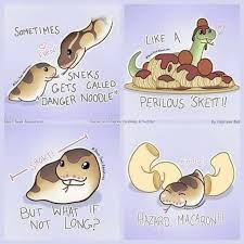 50 Feel Good Memes That Are Warming Our Cold Hearts This Weekend Cute Funny Animals Cute Reptiles Cute Animal Memes