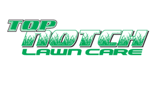 Our highly trained lawn care specialists will accurately assess the condition of your lawn and offer the most effective solution. Top Notch Lawn Care Live Stream Youtube