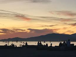 Robin Lavender (@robinlavenderphoto) • Instagram photos and videos