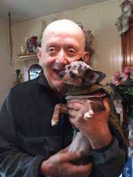 Chihuahua has swollen face