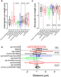 Ptp 3 Lar Ptpr Promotes Intramolecular Folding Of Syd 2 Liprin A To Inactivate Unc 104 Kif1a In Neurons Biorxiv