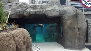 Turtle Back Zoo Sea Lion Tank Lion Tank Sea Lion Zoo