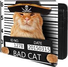 Trofung (Funny Crime Cat Arrested-2 Front Pocket Slim Bifold Leather Wallet  RFID Blocking with ID Window for Men at Amazon Men's Clothing store