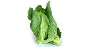Sayur kailan ikan masin paling sedap dan mudah. Choy Tam Baby Kailan Sold Per Kg Horeca Suppliers Supplybunny