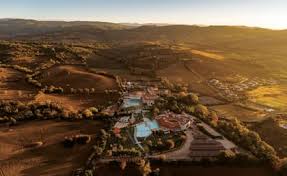 Image result for Verde Giannutri 2008 147