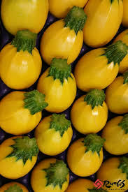 Le Jaune A Rungis La Courgette Ronde Courgette Ronde Photographie De Fruit Photo Fruit