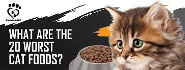 In these cases, a canned dog food may be much easier for them to manage. What Are The 20 Worst Cat Foods Detailed Answer