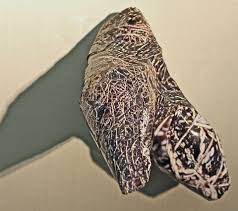 Larry Dell : Metal/Fabric Sculpture