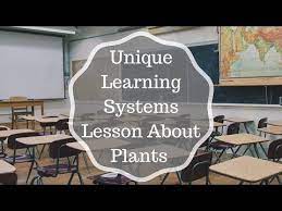 Reviews Of Unique Learning System 11 2021