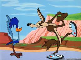 49 Road Runner Cartoon Wallpaper On Wallpapersafari Over 38 road runner png images are found on vippng. 49 road runner cartoon wallpaper on