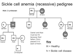 Give The Pedigree Analysis Of 1 Haemophilia 2 Sickle Cell