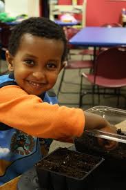 Butterfly and bee garden at community garden