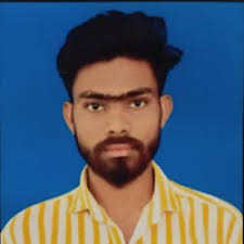 provide fast and accurate hindi and english typing services