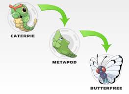 Caterpie Evolution Chart Clipart Images Gallery For Free