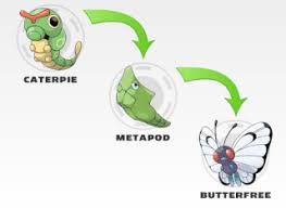 caterpie evolution chart clipart images gallery for free