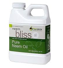 Maybe you would like to learn more about one of these? How To Get Rid Of Aphids 12 Organic Tips And More
