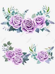 Chinese Rose Flower Purple Beautiful Free Element Roses Clipart Tanabata Purple Rose Png Transparent Image And Clipart For Free Download Free Flower Clipart Flower Clipart Purple Roses