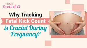 Image result for Fetal Movement Count