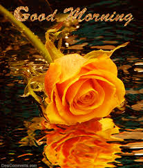 Good Morning Wishes With Flowers Pictures Images Page 49 Good morning my love image. good morning wishes with flowers