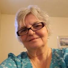 My Brilliant Friend (Neapolitan Novels, 1): Ferrante, Elena, Goldstein,  Ann: 9781609450786: Amazon.com: Books