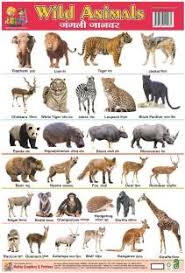Animals Chart For Children Paper Print 28 Inch X 40 Inch Paper Print Animals Educational Children Posters In India Buy Art Film Design Movie Music Nature And Educational Paintings Wallpapers At Flipkart Com