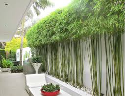Landscape Gardening Jobs Northamptonshire Via Landscape Gardening Design Ideas Lest Masters Of Modern Landscape Design Achtertuinideeen Achtertuin Tuin Ideeen