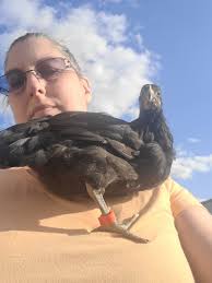 Microfauna in my baby's environment