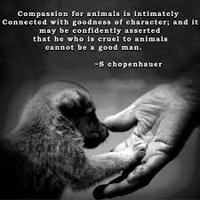 Compassion For Animals Quote Animal Quotes Dog Quotes Animals