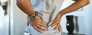 The anatomical regions (shown) compartmentalize the human body. Low Back Pain Anatomy When To See A Doctor Getting The Right Diagnosis Berkeley Wellness