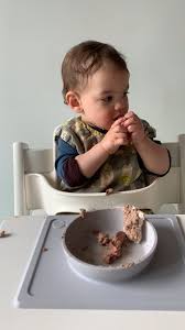 Chicken Liver For Babies In 2021 Chicken Livers Baby First Foods Chicken Liver Recipes