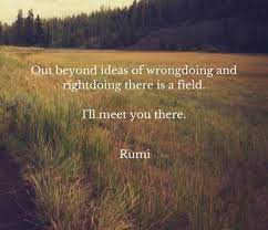 Out Beyond Ideas Of Quotes About Life Love Travel Facebook