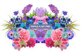 21 Free Aesthetic Png Packs Vaporwave Plant Aesthetic Png