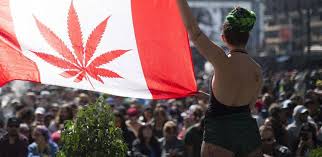 In the world of marijuana, these three numbers hold a lot of meaning. 5 Of The Best Ways To Celebrate 420 In Toronto