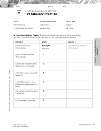 Vocabulary Review 7