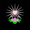 Koleksi gambar hd, wallpaper keren, dan gambar keren. Https Encrypted Tbn0 Gstatic Com Images Q Tbn And9gcq4fpy4f6uca6hy 6ja2wrxa6mleyf2ngbznari3bau3843py1z Usqp Cau