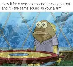 We would like to show you a description here but the site won't allow us. My Alarm Gave Me Ptsd Memes