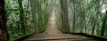 Images?q=tbn:ANd9GcTfuOTX92ZRJPXBQriURL YS5hBuN5NTyoOtQ&s