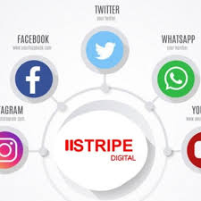 Digital Marketing Facts Digital Marketing Facts Digital Marketing Seo Digital Marketing