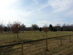 Homeadvisor's fence installation cost guide gives average privacy fence costs (8ft, 6ft & more) and a fencing labor and material price calculator. Horse Fence Installers In North Carolina