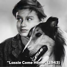 PRIDE ICONS — Roddy McDowall was a child actor who made his...