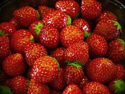 Red - Wikipedia
