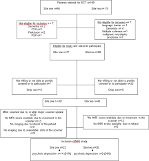 Flow Chart At Site One Ten Patients Did Not Have A Scan