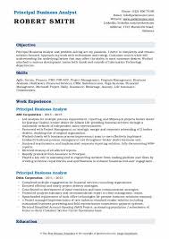 A financial analyst, or accounting analyst, studies a company's financial data to give advice for guiding business investments and overall financial strategy. Principal Business Analyst Resume Samples Qwikresume