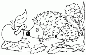 Ausmalbild Tiere Gratis In 2020 Igel Ausmalbild Ausmalbilder Ausmalbilder Tiere