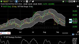 In fact, direxion on its website notes the returns the etf seeks on its benchmark (the nyse arca gold miners index) are for a single day. Direxion Daily Gold Miners Index Bull 3x Shares Thestreet